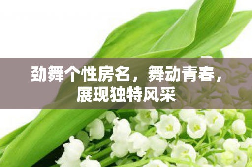 劲舞个性房名图片