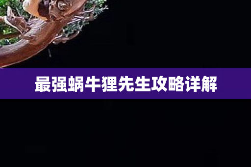 最强蜗牛狸先生攻略详解图片