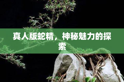 神秘魅力的探索图片