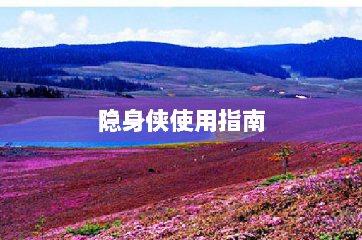 隐身侠使用指南图片