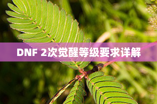 DNF 2次觉醒等级要求详解图片