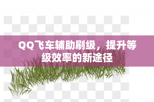 提升等级效率的新途径图片