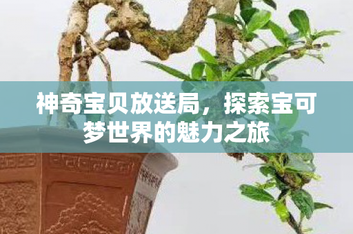探索宝可梦世界的魅力之旅图片