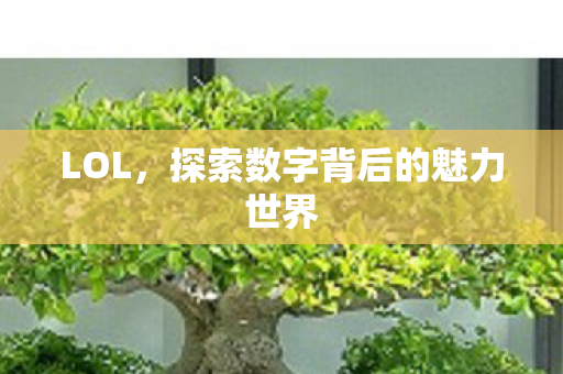 探索数字背后的魅力世界图片