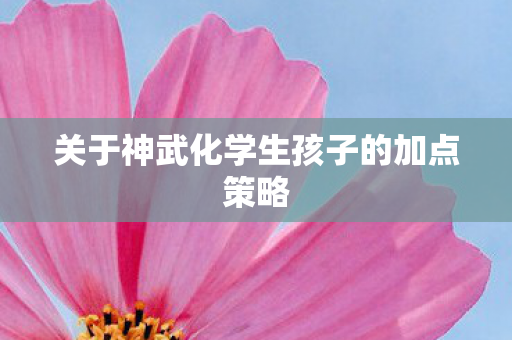 关于神武化学生孩子的加点策略图片