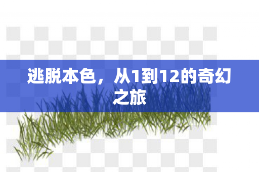 从1到12的奇幻之旅图片