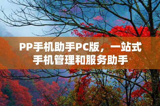一站式手机管理和服务助手图片