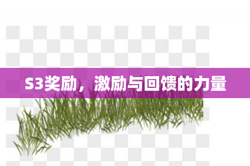 激励与回馈的力量图片