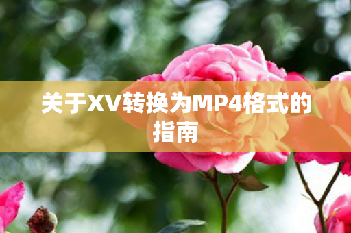 关于XV转换为MP4格式的指南图片