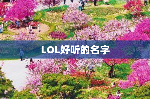 LOL好听的名字图片