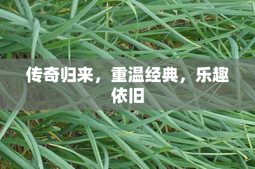 传奇归来图片