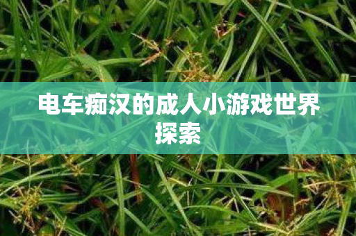 电车痴汉的成人小游戏世界探索图片