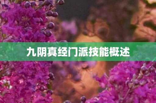 九阴真经门派技能概述图片