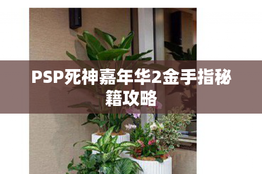 PSP死神嘉年华2金手指秘籍攻略图片