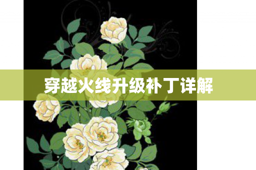 穿越火线升级补丁详解图片