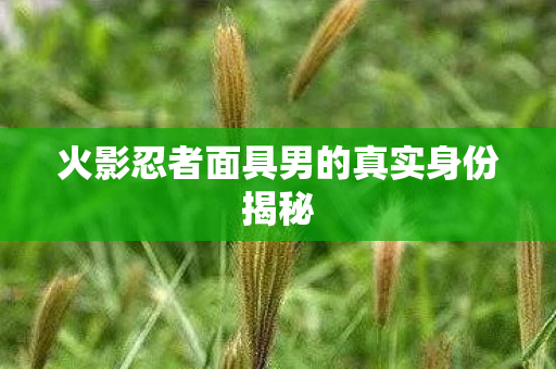 火影忍者面具男的真实身份揭秘图片