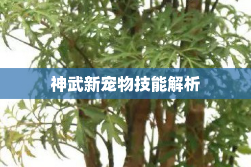 神武新宠物技能解析图片