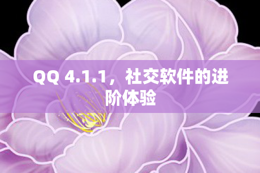 社交软件的进阶体验图片
