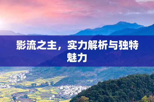 实力解析与独特魅力图片