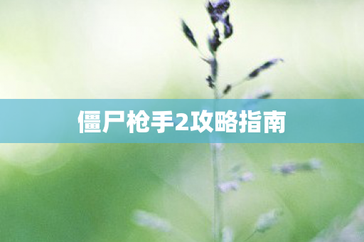 僵尸枪手2攻略指南图片