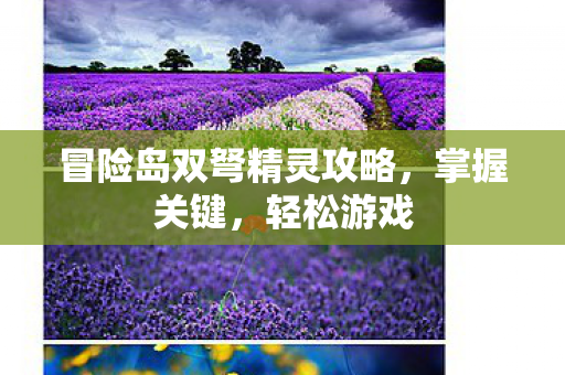 冒险岛双弩精灵攻略图片