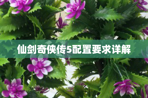 仙剑奇侠传5配置要求详解图片