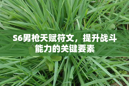提升战斗能力的关键要素图片