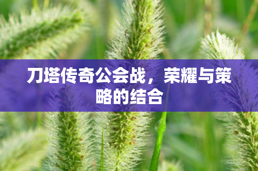 荣耀与策略的结合图片