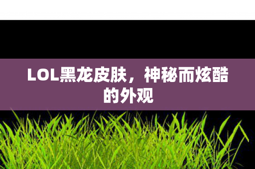 神秘而炫酷的外观图片