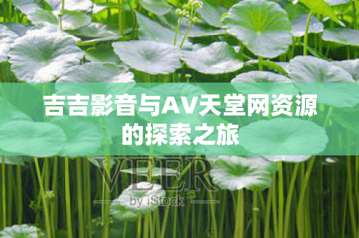吉吉影音与AV天堂网资源的探索之旅图片