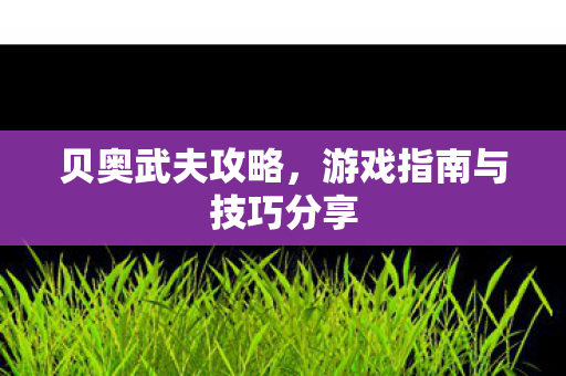 游戏指南与技巧分享图片