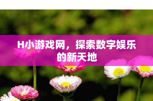 探索数字娱乐的新天地图片