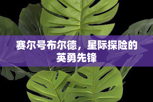 星际探险的英勇先锋图片