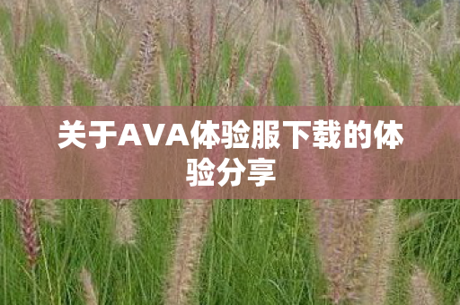 关于AVA体验服下载的体验分享图片