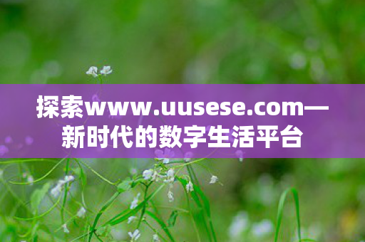 新时代的数字生活平台图片