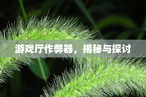 游戏厅作弊器图片