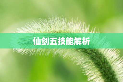 仙剑五技能解析图片