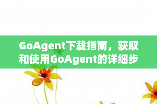 获取和使用GoAgent的详细步骤图片