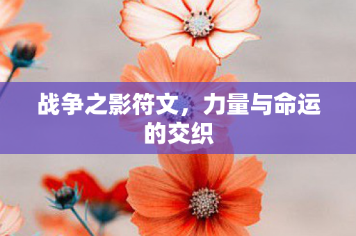 力量与命运的交织图片