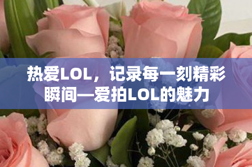 记录每一刻精彩瞬间图片