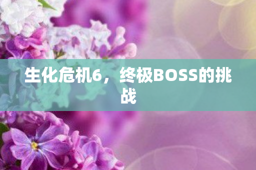 终极BOSS的挑战图片