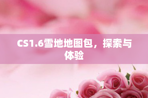 6雪地地图包图片