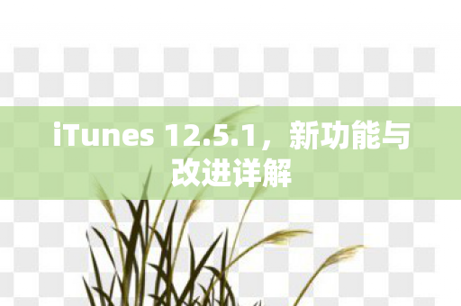 iTunes 12图片