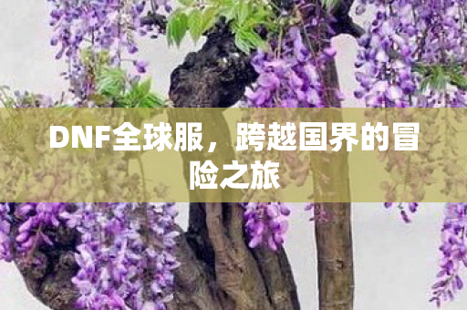 跨越国界的冒险之旅图片