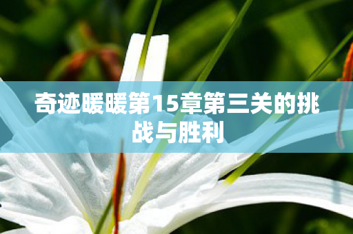 奇迹暖暖第15章第三关的挑战与胜利图片
