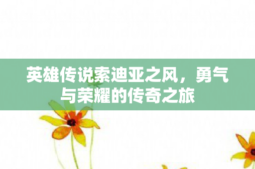 勇气与荣耀的传奇之旅图片