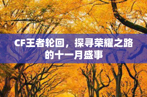 探寻荣耀之路的十一月盛事图片
