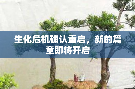 生化危机确认重启图片