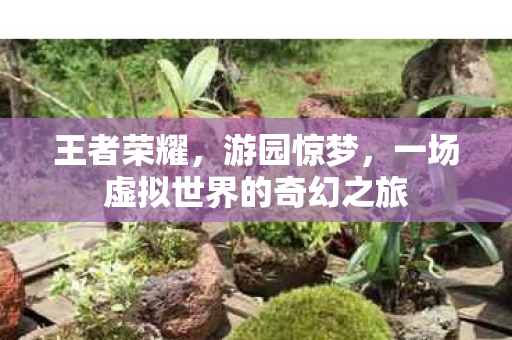 一场虚拟世界的奇幻之旅图片
