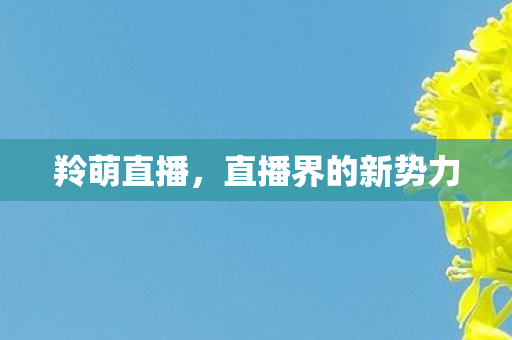 直播界的新势力图片